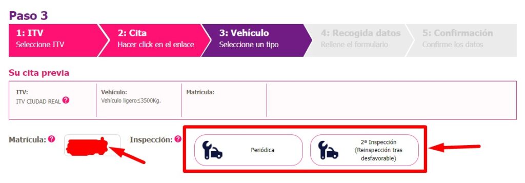 Escribe la matrícula y el tipo de inspección
