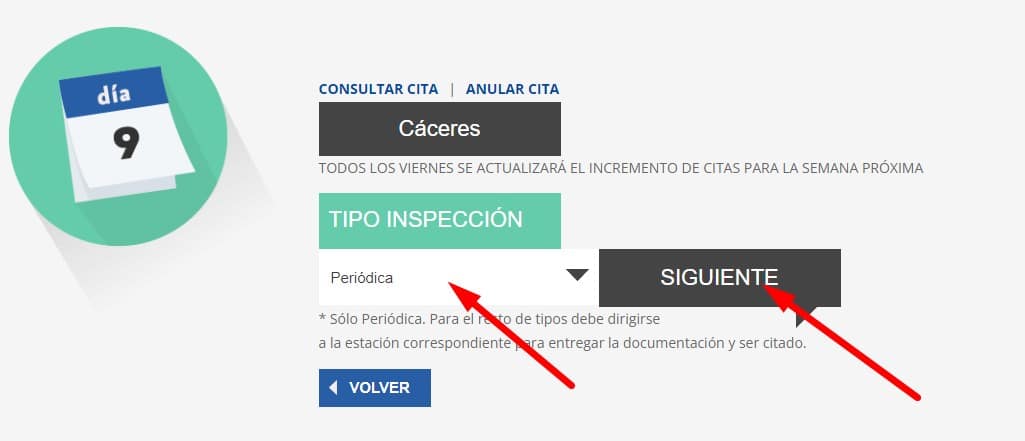 Selecciona el tipo de inspección