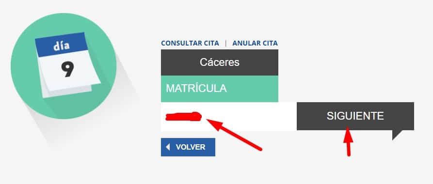 Introduce la matrícula