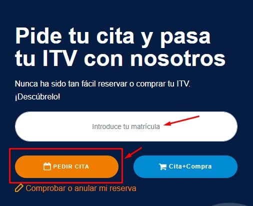 Introduce la matrícula