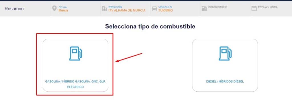 Selecciona el combustible