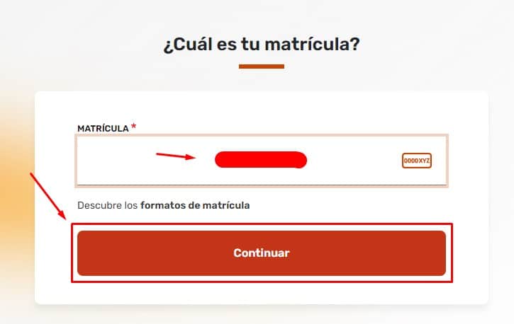 Introduce la matrícula