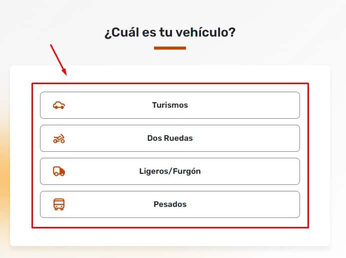 Confirma el tipo de vehículo