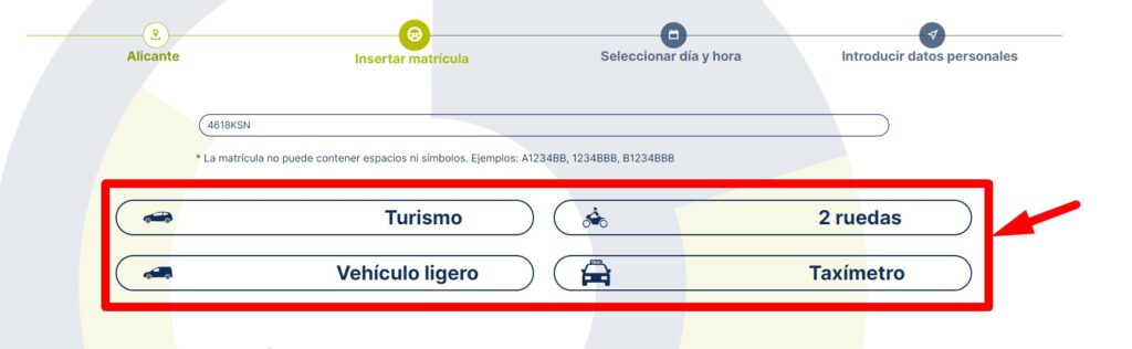 Confirma el tipo de vehículo