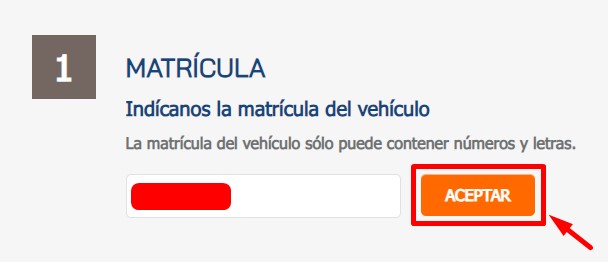 Introduce la matrícula